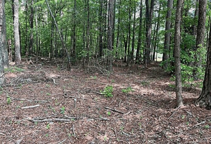 Jimmie Mayfield Blvd Fayetteville, GA  30215 United States, Fayetteville, GA à vendre Photo principale– Image 1 sur 17