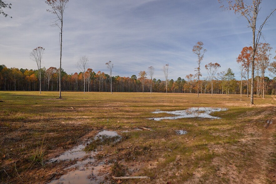 480 Martin Rd, Cotton Valley, LA à vendre - Photo de l’immeuble – Image 3 sur 52