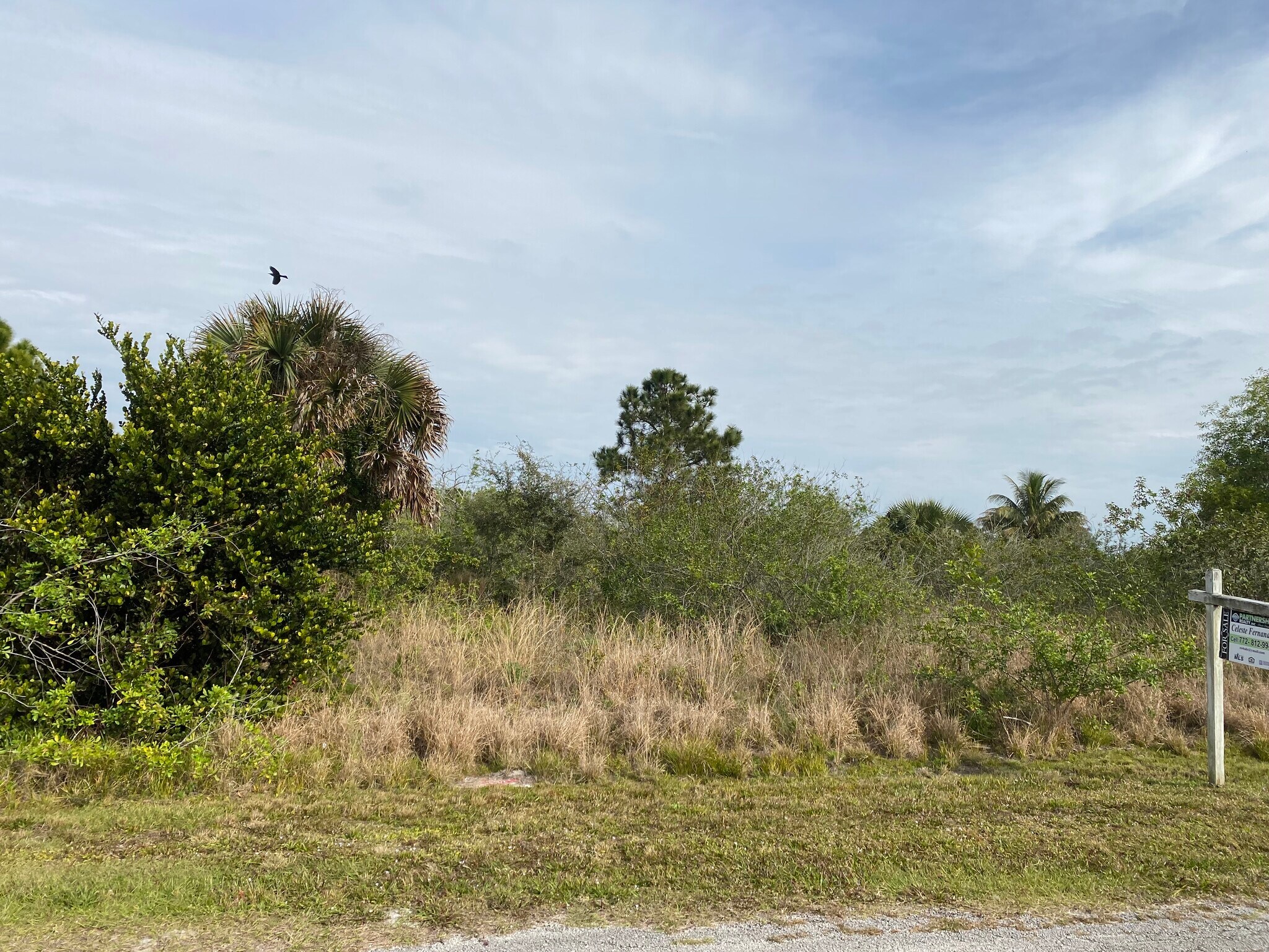 17755 FOX TRAIL LN - West Palm Beach, Loxahatchee, FL à vendre Photo de l’immeuble– Image 1 sur 5