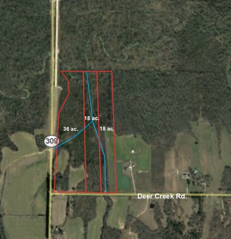 2900 Deer Creek Rd, Byhalia, MS à vendre Aérien– Image 1 sur 2