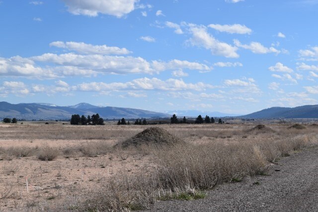 View Photo