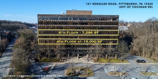 Plus de détails pour 151 Roessler Rd, Pittsburgh, PA - Bureau à louer