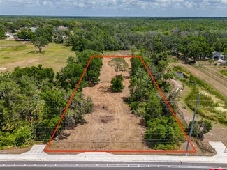 Plus de détails pour 5106 Bell Shoals Rd, Valrico, FL - Terrain à vendre
