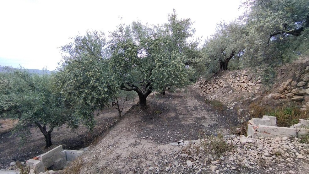 Terrain dans Calasparra, Murcia à vendre - Photo de l’immeuble – Image 3 sur 9