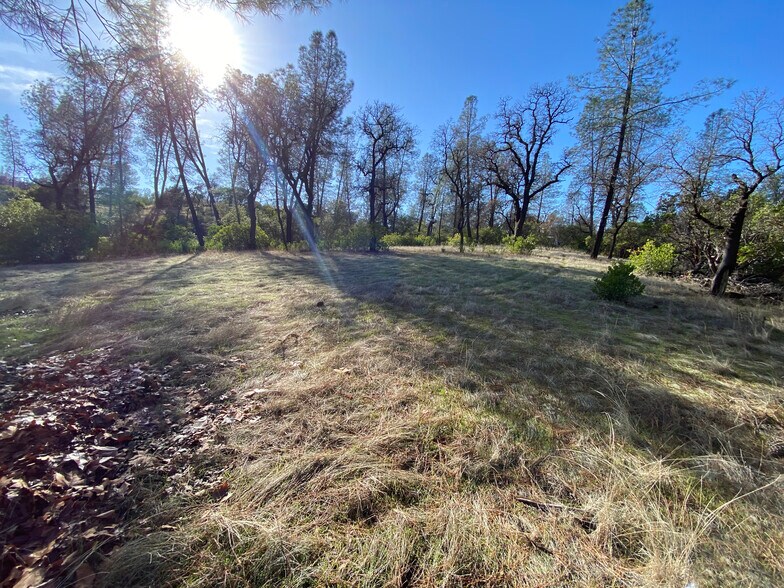 15785 Placer ct, Corning, CA à vendre - Photo principale – Image 1 sur 24
