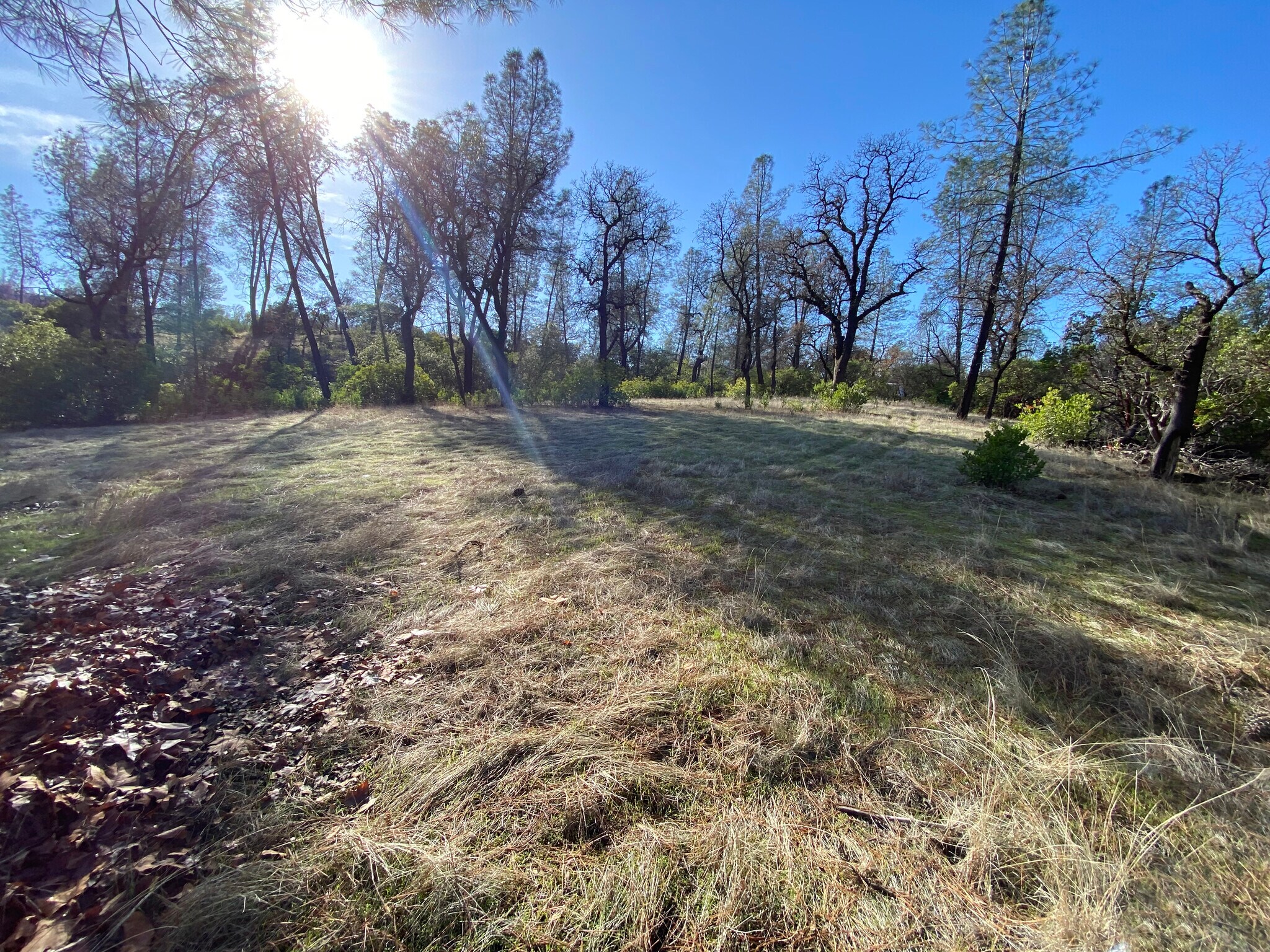 15785 Placer ct, Corning, CA à vendre Photo principale– Image 1 sur 25