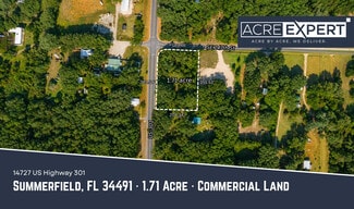 Plus de détails pour 14727 S US Highway 301, Summerfield, FL - Terrain à vendre