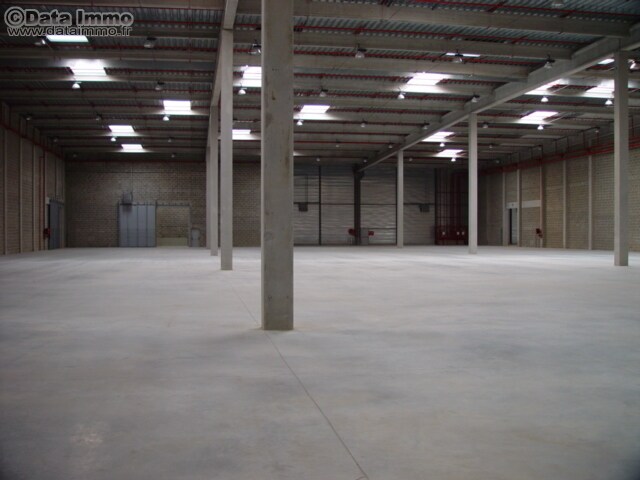 Industriel/Logistique dans Brétigny-sur-Orge à louer - Photo intérieure – Image 2 sur 9
