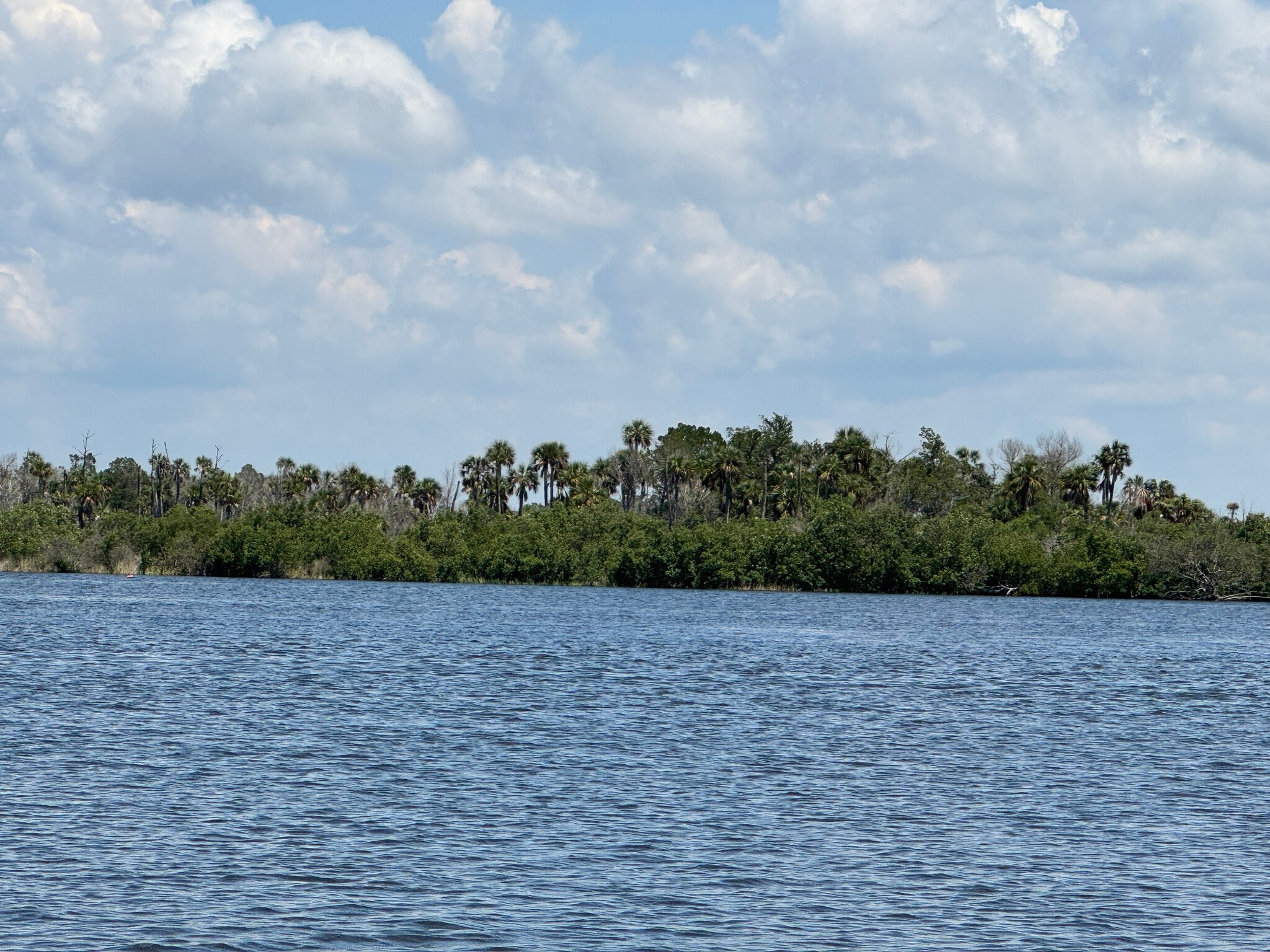 14251 The Homosassa River, Homosassa, FL à vendre Photo principale– Image 1 sur 7