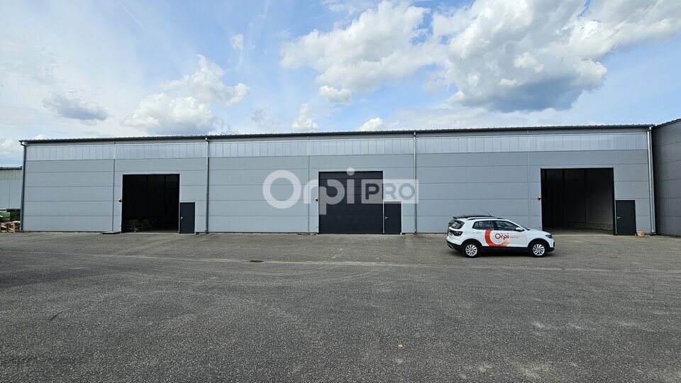 Industriel/Logistique dans Volgelsheim à louer - Photo de l’immeuble – Image 1 sur 4