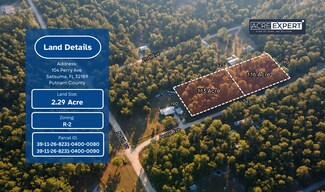 Plus de détails pour 104 Perry Ave, Satsuma, FL - Terrain à vendre