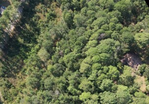 TBD Easley Rd, Huntsville, TX à vendre Photo principale– Image 1 sur 2