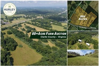 Plus de détails pour 10068 Harry Byrd Hwy, Berryville, VA - Terrain à vendre