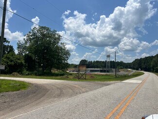 Plus de détails pour 83 Gum Creek Airport Rd, Roopville, GA - Terrain à vendre