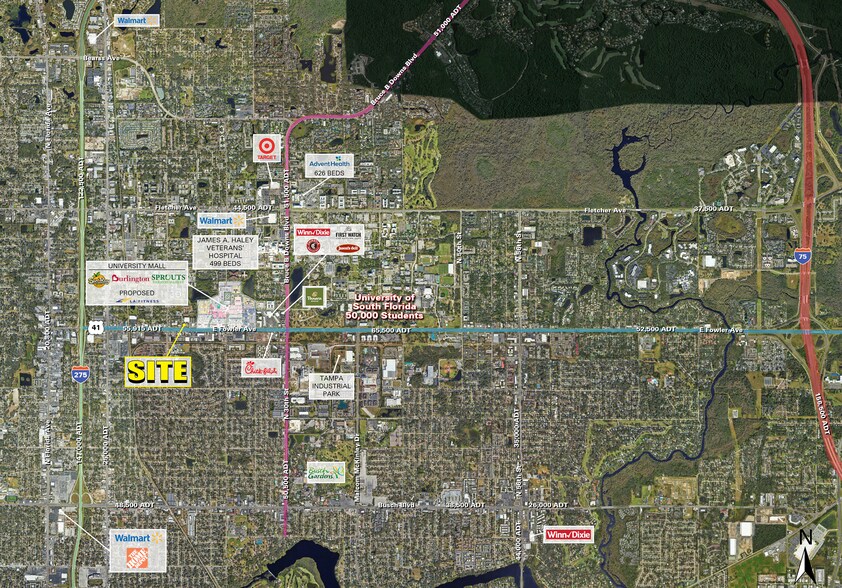 1700 Fowler Ave, Tampa, FL à louer - Photo de l’immeuble – Image 2 sur 5