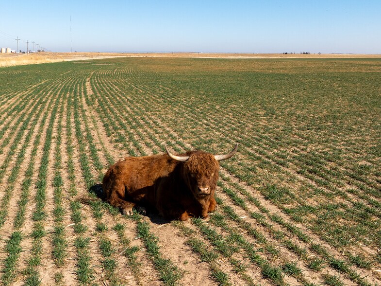 6001 Co B Rd, Liberal, KS à vendre - Photo de l’immeuble – Image 3 sur 7