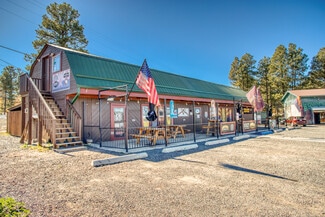Plus de détails pour 4207 W White Mountain Blvd, Lakeside, AZ - Local commercial à vendre