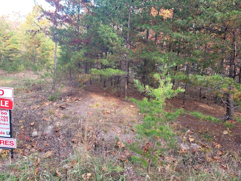 Lot 26 Cabin Run -1, Bloomery, WV à vendre - Photo principale – Image 1 sur 14