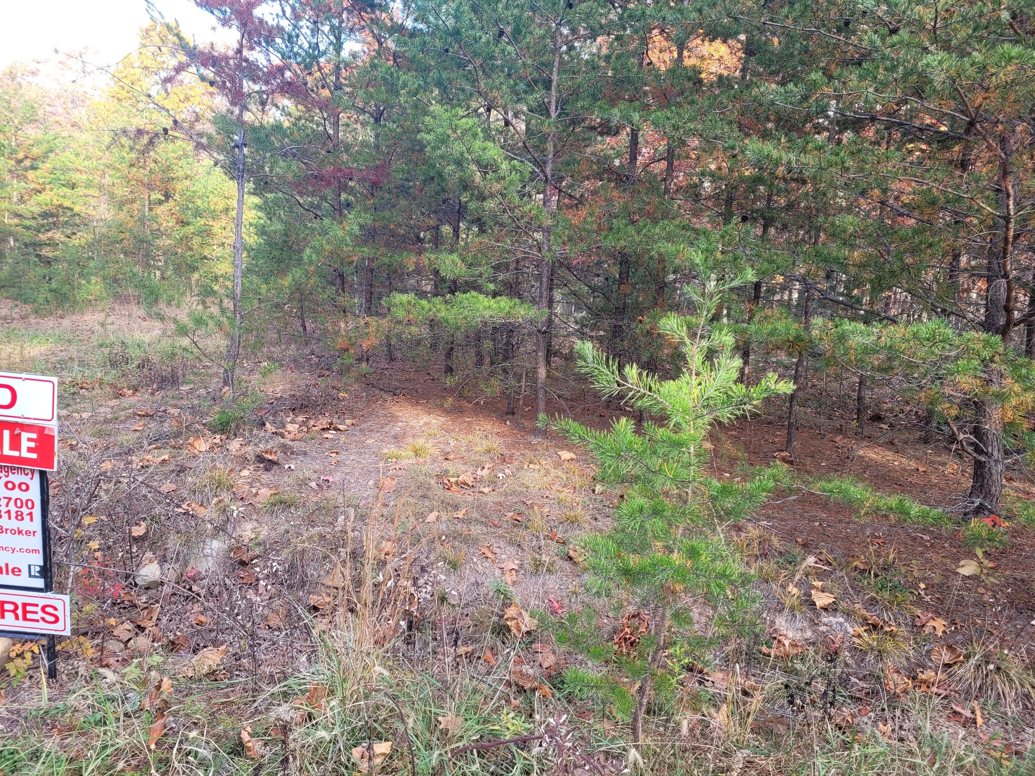 Lot 26 Cabin Run -1, Bloomery, WV à vendre Photo principale– Image 1 sur 15