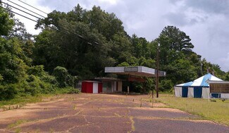 Plus de détails pour 0 McFarland Ln, Aberdeen, MS - Local commercial à vendre