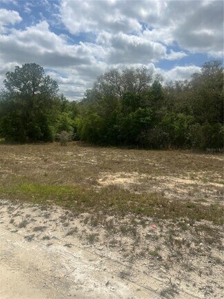Plus de détails pour Cleft Rock Street, Webster, FL - Terrain à vendre