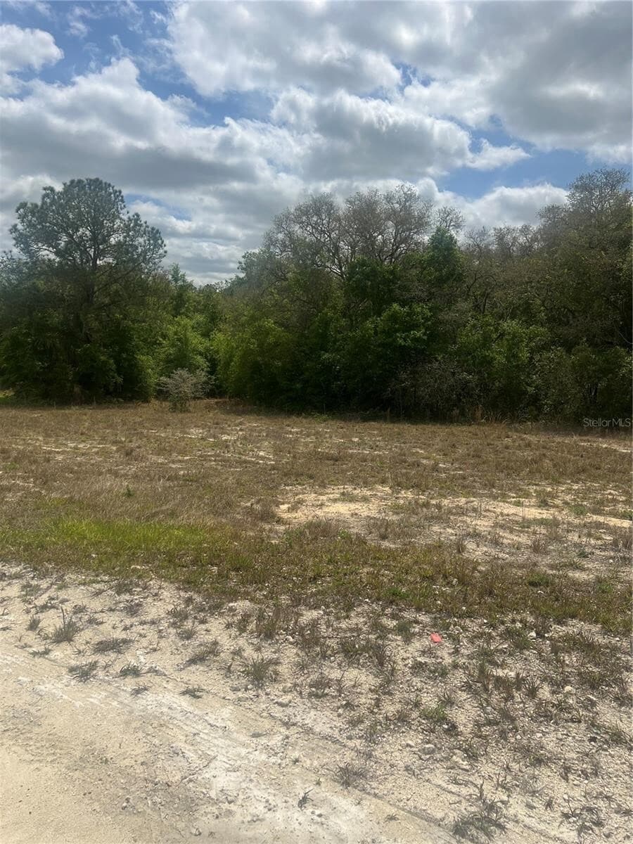 Cleft Rock Street, Webster, FL à vendre Autre– Image 1 sur 5