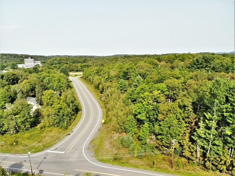 Old Route 17, Harris, NY à vendre - Aérien – Image 3 sur 15