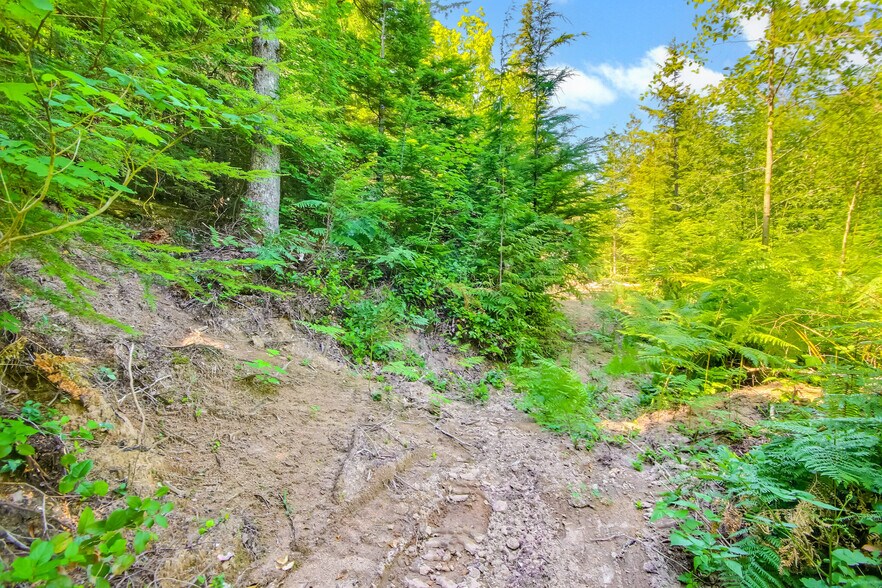 32750 343rd Ave SE, Ravensdale, WA à vendre - Photo de l’immeuble – Image 3 sur 49