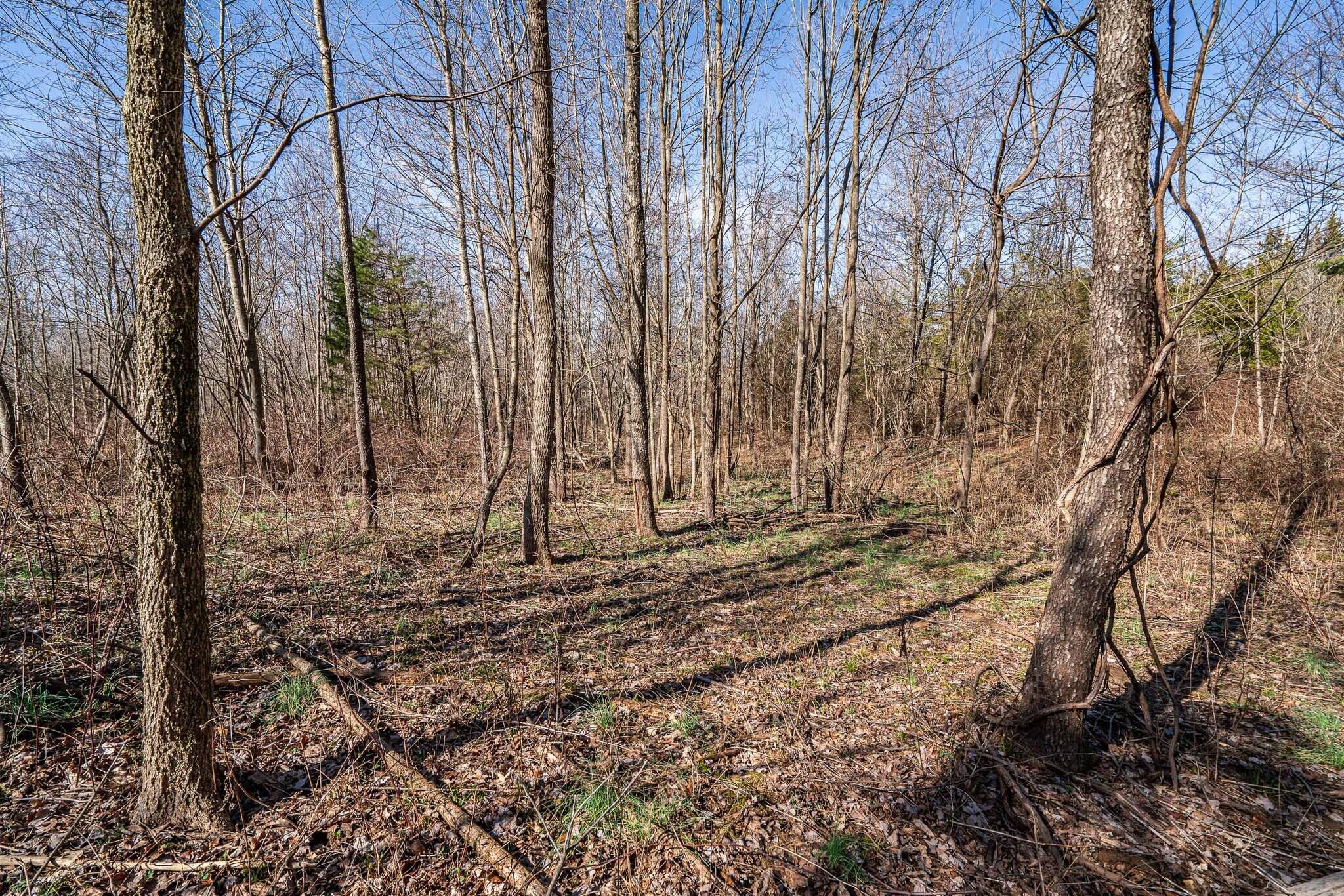 0 Wilson Rd, Radcliff, KY à vendre Photo principale– Image 1 sur 18
