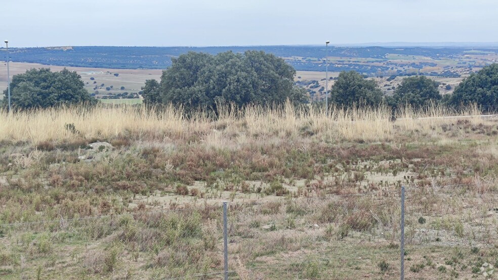 Terrain dans Zarzuela del Monte, Segovia à vendre - Photo principale – Image 1 sur 9