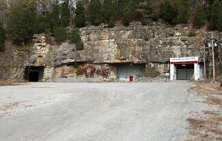 Plus de détails pour 1055 Starks Rd, Cumberland Furnace, TN - Industriel/Logistique à louer