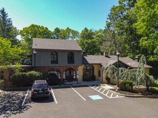 Plus de détails pour 419 York Rd, New Hope, PA - Local commercial à vendre