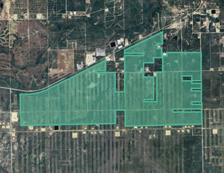 Plus de détails pour 28.436994 -98.845523, Fowlerton, TX - Terrain à vendre