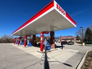 Plus de détails pour 40 Arthur St W, Thornbury, ON - Local commercial à vendre