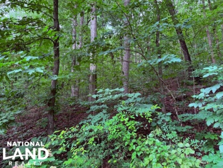 7871 AL Highway 117, Valley Head, AL à vendre - Autre – Image 3 sur 11