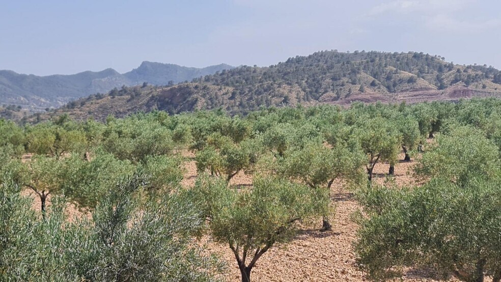 Terrain dans Abanilla, Murcia à vendre - Photo principale – Image 2 sur 8
