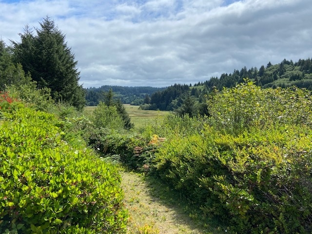 TL 203 Beaver Creek, Seal Rock, OR à vendre - Autre – Image 3 sur 12