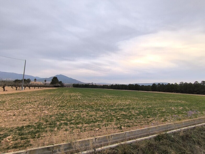 Terrain dans MURCIA à vendre - Photo de l’immeuble – Image 3 sur 4