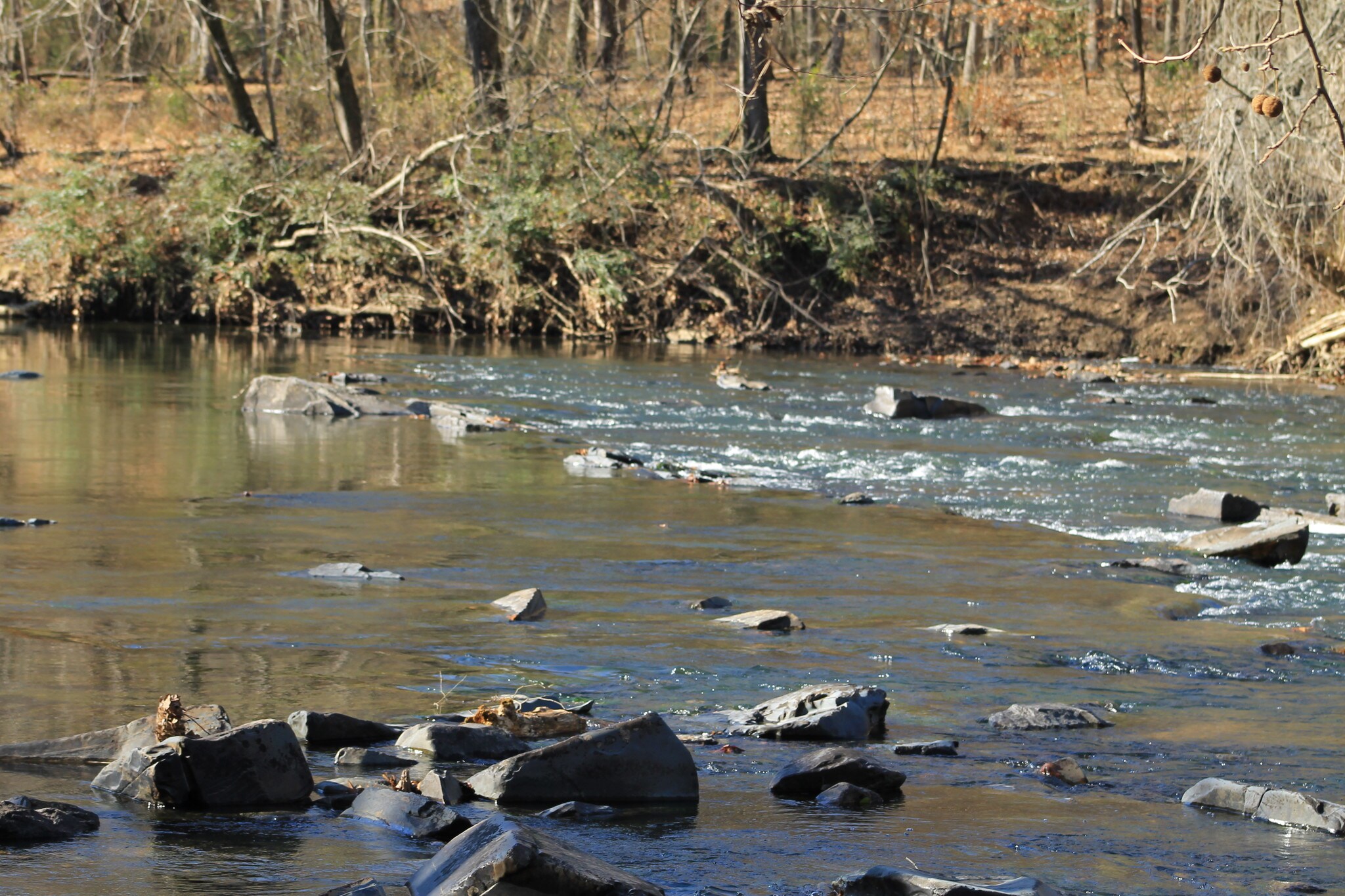 5690 Rocky Mount Church Rd, Polkton, NC à vendre Photo principale– Image 1 sur 31