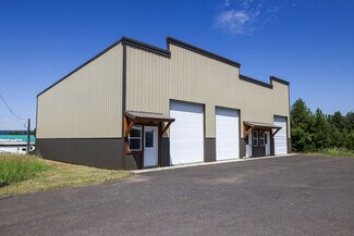 Plus de détails pour 460 Krahn Ln, Mccall, ID - Industriel/Logistique à vendre