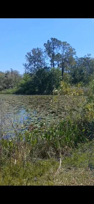 Plus de détails pour Richardson Blvd & Mutual Dr, Webster, FL - Terrain à vendre