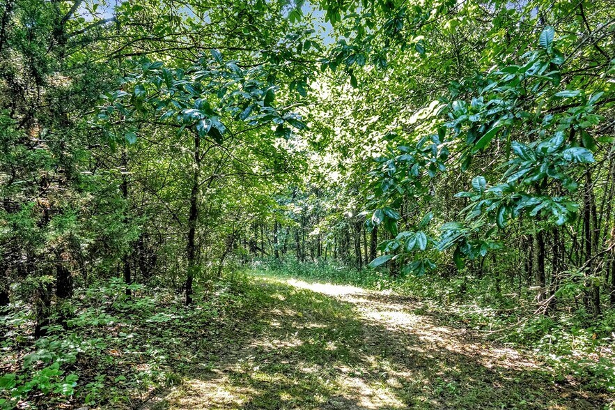 Cave Farm Rd. (86.91+/- Acres), Troy, MO à vendre - Photo de l’immeuble – Image 2 sur 51