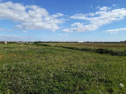Terrain dans Umbrete, Sevilla à vendre - Plan de site – Image 2 sur 3