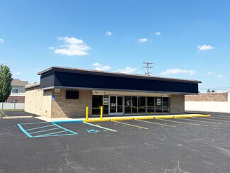 Plus de détails pour 13805 Plumbrook Rd, Sterling Heights, MI - Local commercial à vendre