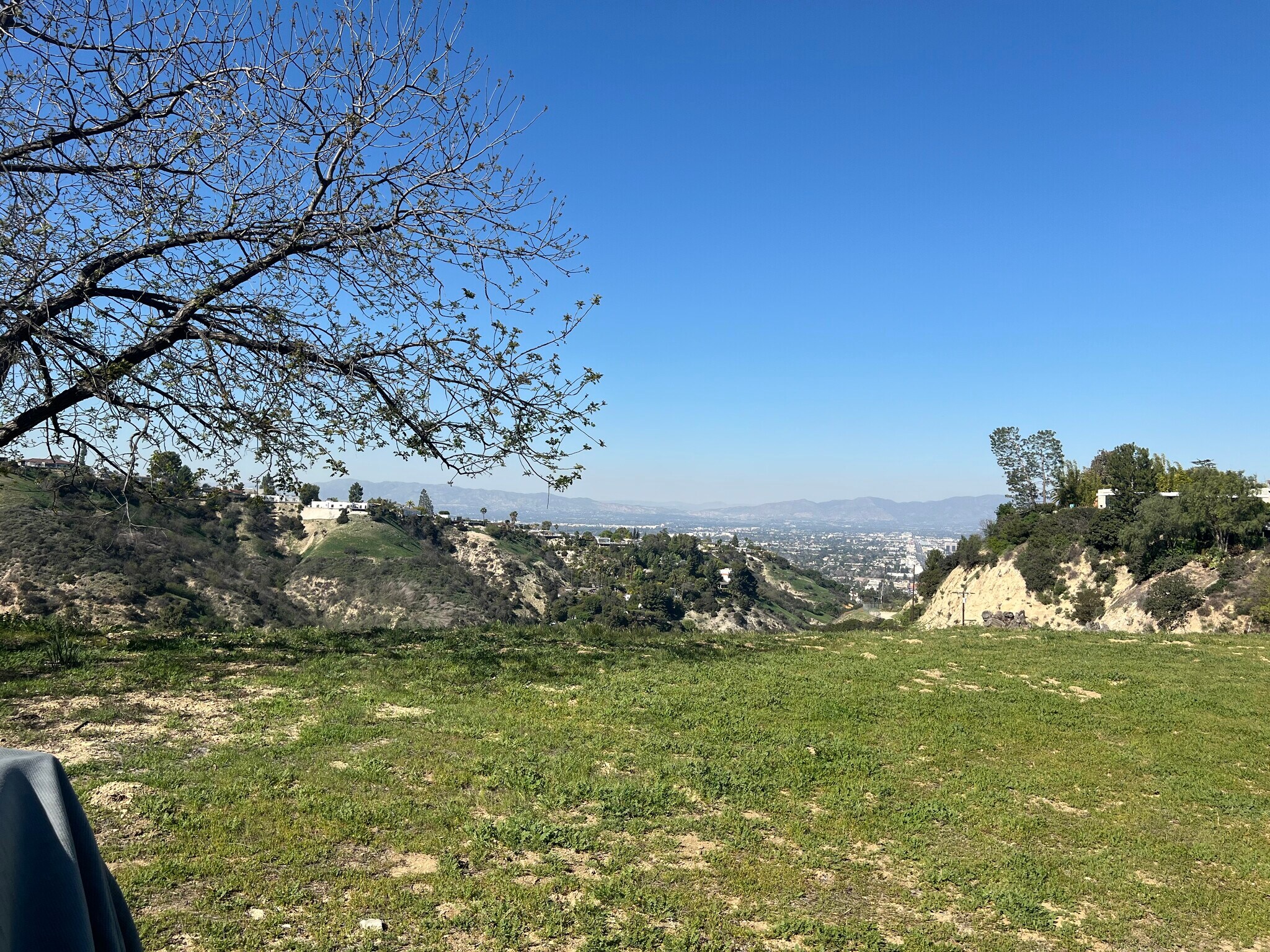 3500 Beverly Glen Blvd, Sherman Oaks, CA à vendre Photo principale– Image 1 sur 7