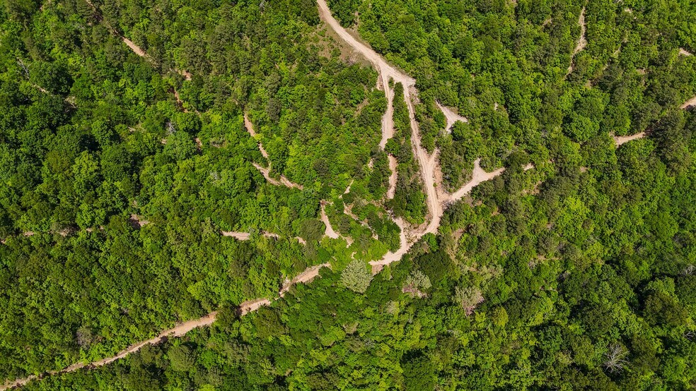 10 Mint Ridge Rd, Eureka Springs, AR à vendre - Photo de l’immeuble – Image 3 sur 46