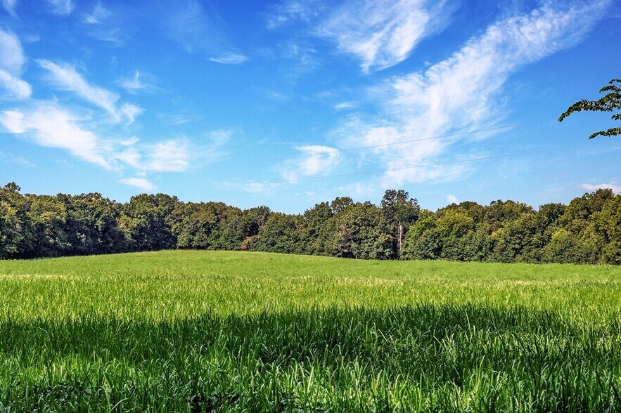 Cave Farm Rd. (34.5+/- Acres), Troy, MO à vendre - Photo de l’immeuble – Image 3 sur 40