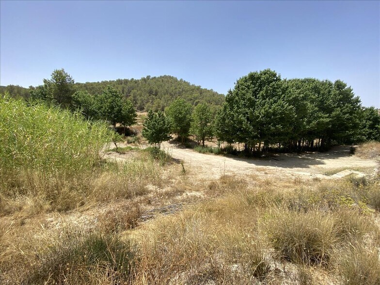 Camino del Peralejo, Sn, Jumilla, Murcia à vendre - Photo de l’immeuble – Image 2 sur 17