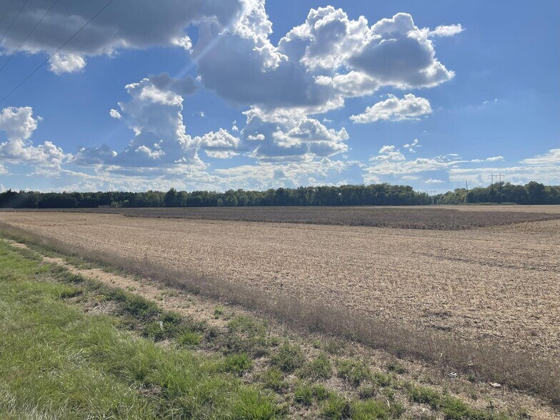 County 21 & Bell Grayson Road hwy, Demopolis, AL à vendre - Photo de l’immeuble – Image 3 sur 13