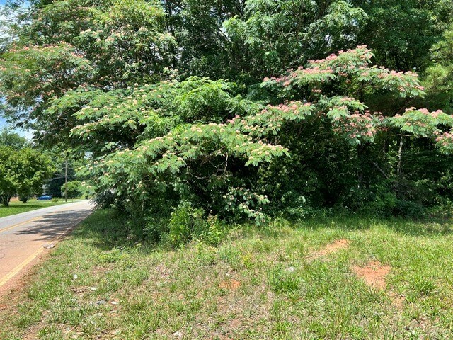 W Shockley Ferry Rd, Anderson, SC à vendre - Autre – Image 3 sur 4